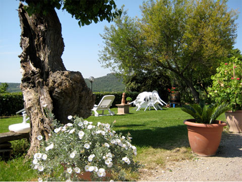 Esterno giardino agriturismo