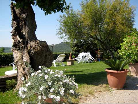 giardino